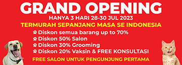 gallery/spanduk supernova 2